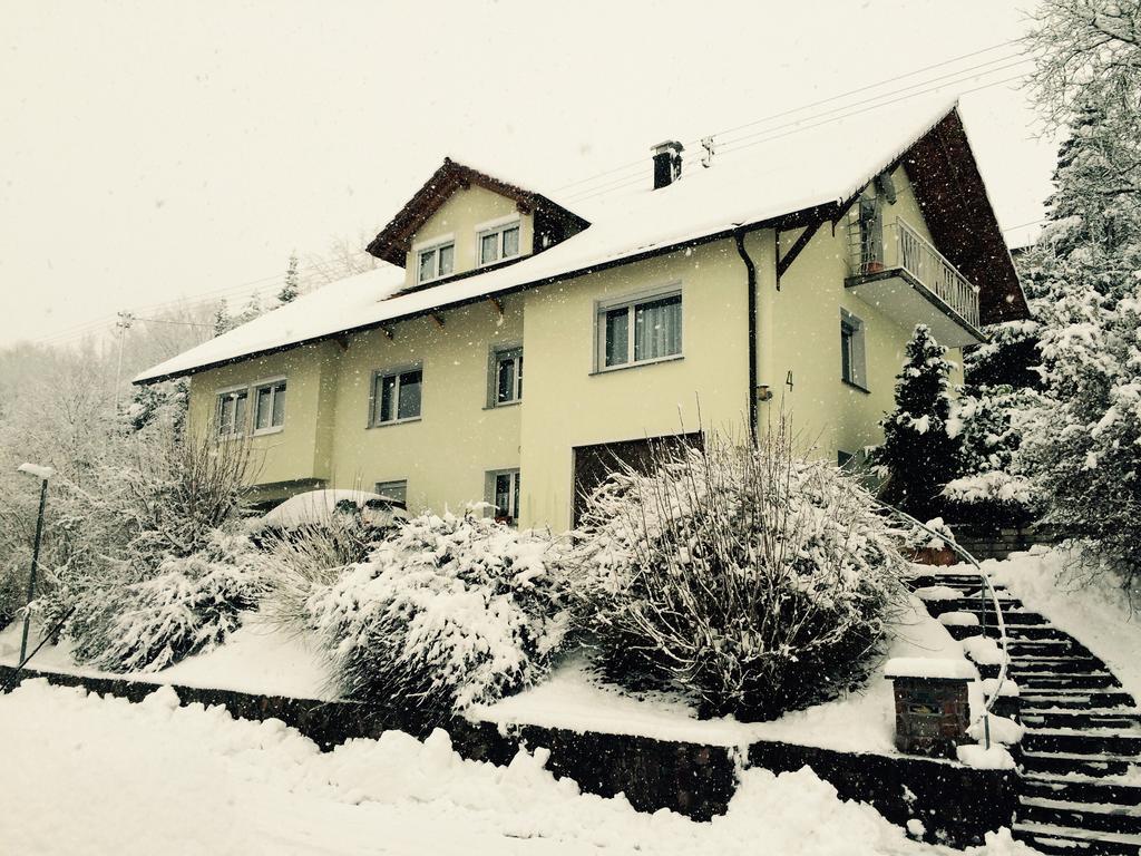 Ferienwohnung Dieterle Wutoschingen Стая снимка